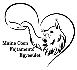 Maine Coon Fajtamentők