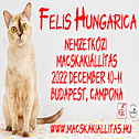 2022. FelisHungarica