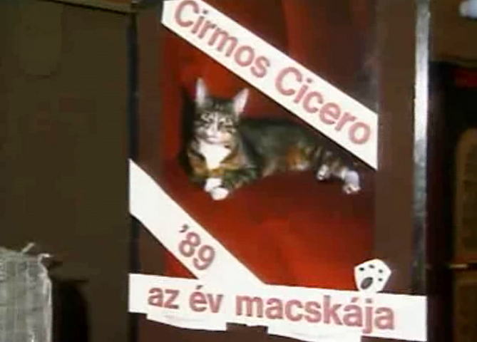 1989.okt. FAMKAT - Cirmos Cicer