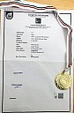 31-2022dec-dolfi-diploma