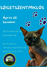 2023.ápr.22. Felidae Hungary